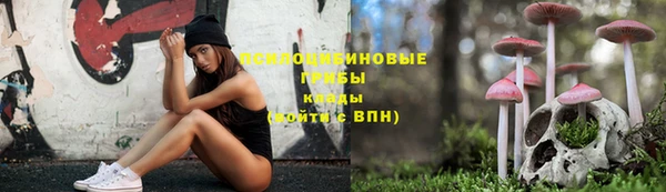 дурь Верхний Тагил