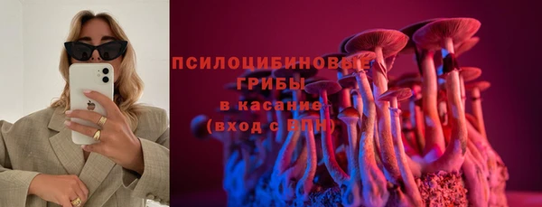 дурь Вязьма