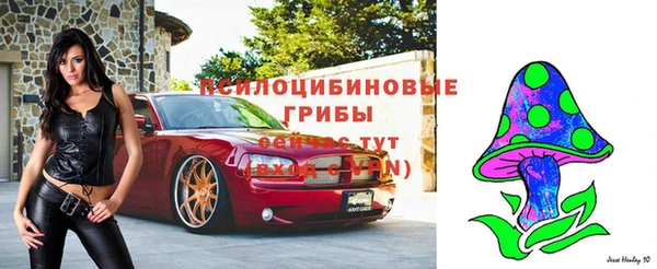 2c-b Волоколамск
