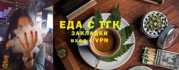 индика Семёнов