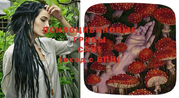 соль ск Володарск